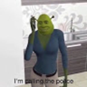 Meet your Posher, Ariela